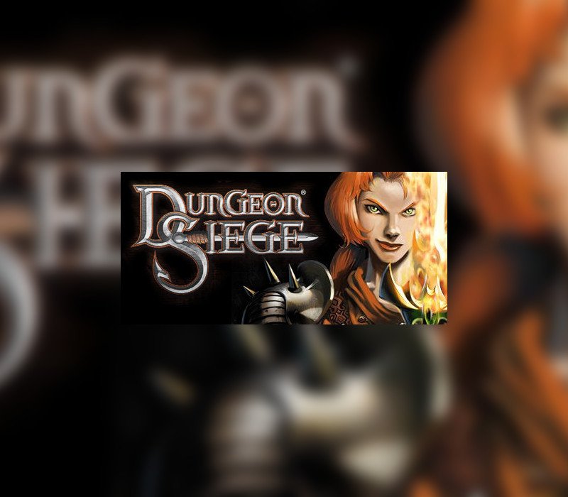 8888_154 Dungeon Siege PC Steam CD Key - Image 1
